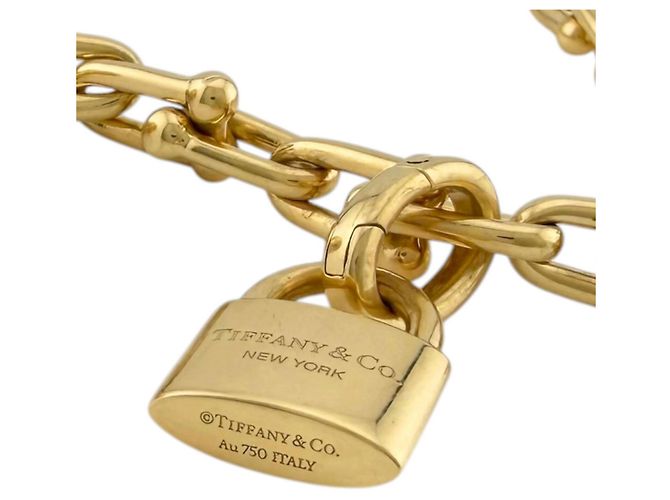 Autre Marque Pulsera Wrap Small Tiffany HardWear Dorado - vista 6