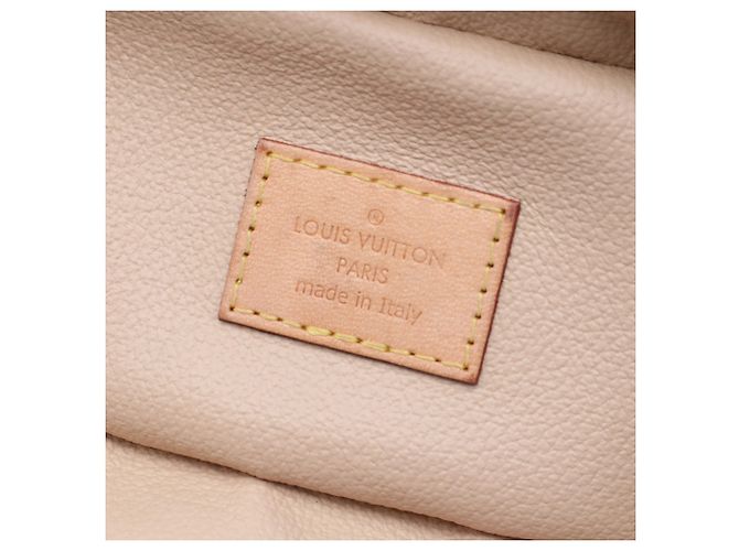 Louis Vuitton Brown Monogram Nice Nano Vanity Case Marrone - vista 5