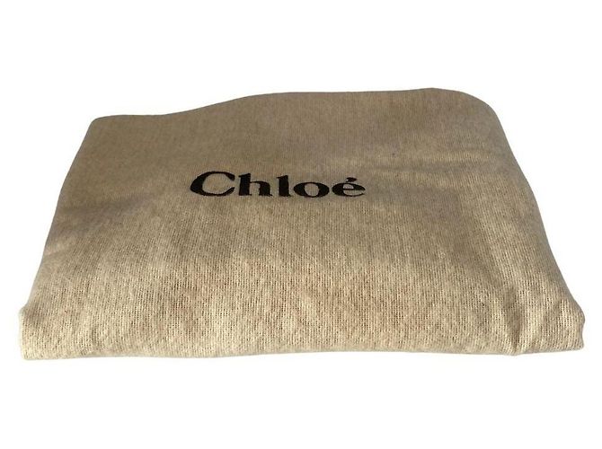 Chloé Chloe Paddington Y2K in pelle azzurra GHW Blu - vista 15