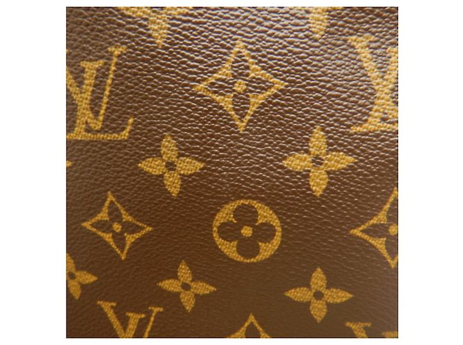 Bolso Louis Vuitton Monogram Vavin PM Castaño - vista 13