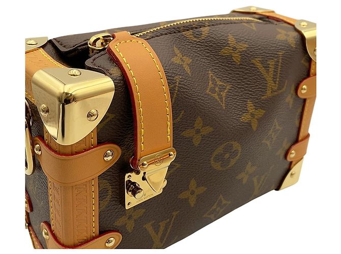 Bolsa Louis Vuitton Monogram Side Trunk PM Marrom - vista 7