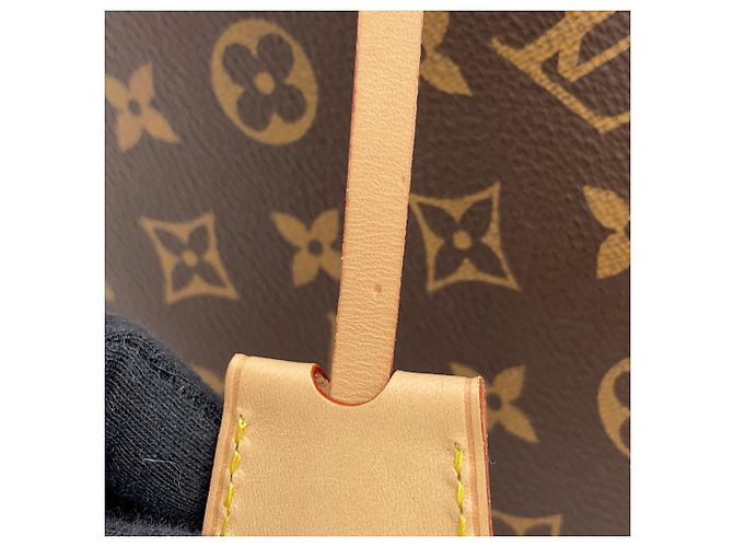 Bolso de mano Louis Vuitton Alma BB Monogram Castaño - vista 19