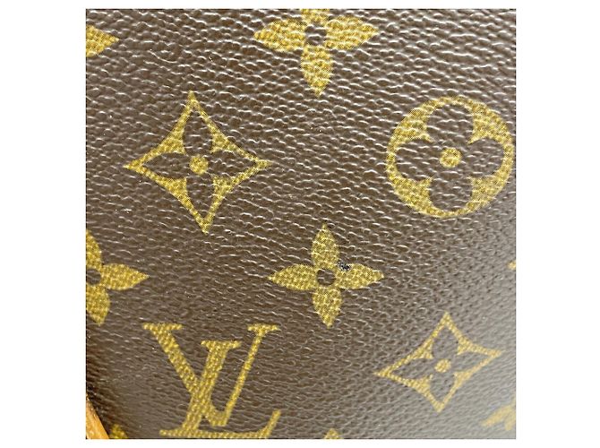 Bolsa Louis Vuitton Monogram Ellipse MM Marrom - vista 14