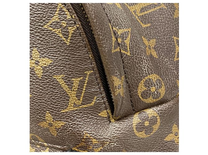Sac à dos Louis Vuitton Monogram Palm Springs Marron - vue 10