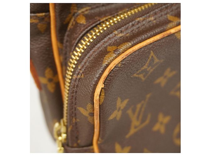 Borsa a tracolla Louis Vuitton Monogram Amazon Marrone - vista 7