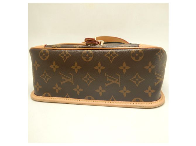 Bolso de hombro Louis Vuitton Monogram Diane Castaño - vista 10