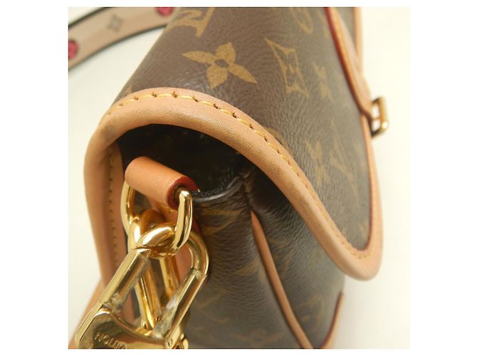 Bolso de hombro Louis Vuitton Monogram Diane Castaño - vista 11