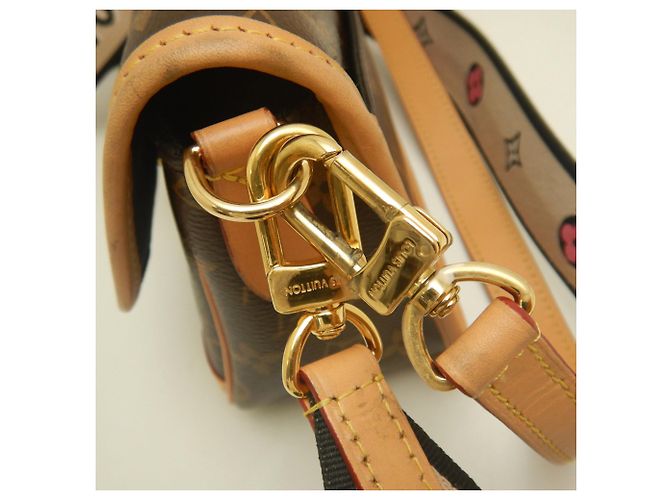 Bolso de hombro Louis Vuitton Monogram Diane Castaño - vista 13