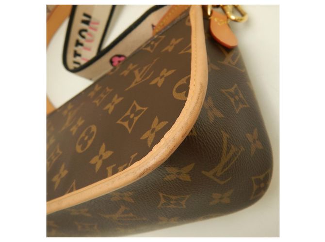 Bolso de hombro Louis Vuitton Monogram Diane Castaño - vista 18