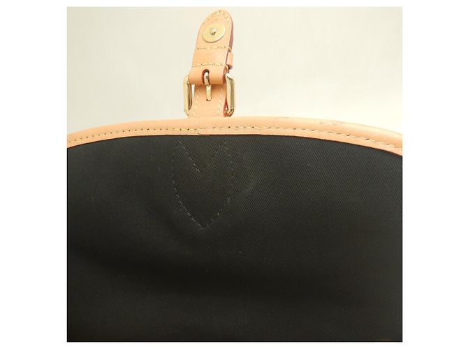 Bolso de hombro Louis Vuitton Monogram Diane Castaño - vista 20