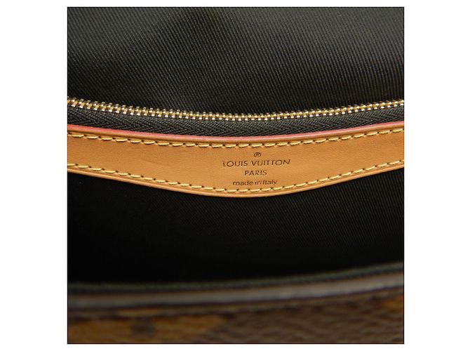 Bolso de hombro Louis Vuitton Monogram Diane Castaño - vista 24