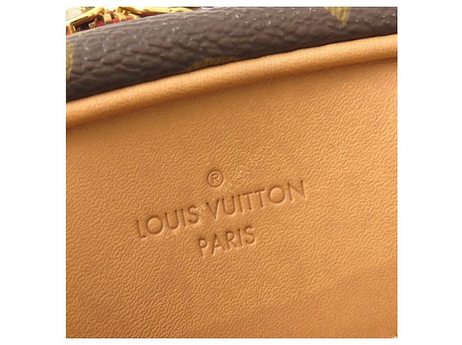 Bolso de hombro Louis Vuitton Monogram Deauville MINI M45528 Castaño - vista 17