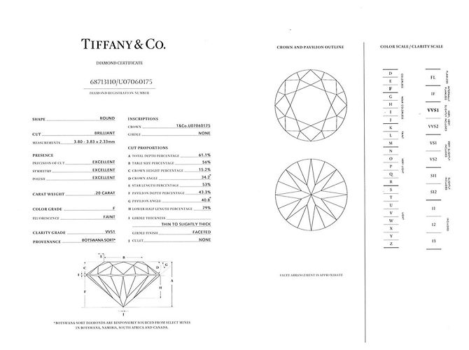 Autre Marque Tiffany & Co. Solitär-Ring aus Platin - Ansicht 9