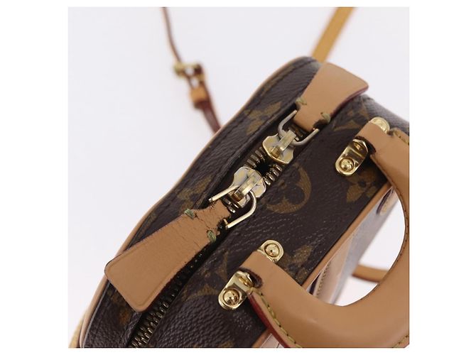 LOUIS VUITTON Monogram Varisette Vertical Shoulder Bag M68623 LV Auth 206461A Monogramm - Ansicht 27