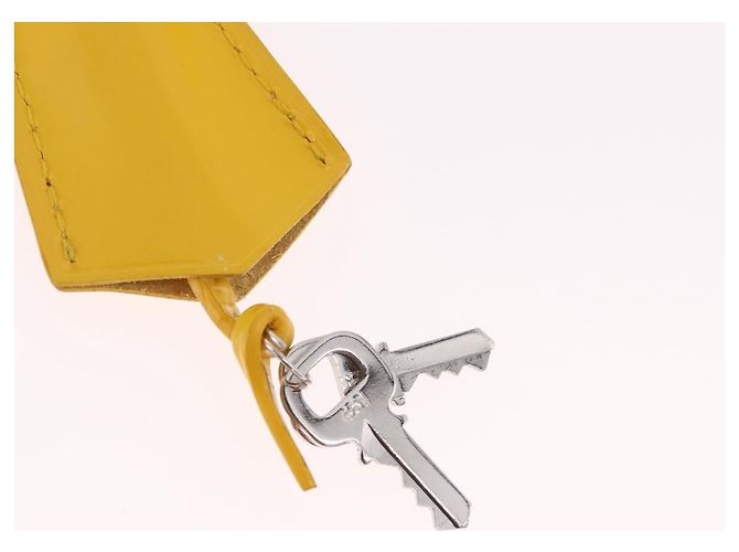 Borsa a mano LOUIS VUITTON Epi Alma PM Yellow citron M40619 LV Auth ka6442A D'oro Giallo - vista 10