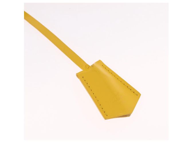 Borsa a mano LOUIS VUITTON Epi Alma PM Yellow citron M40619 LV Auth ka6442A D'oro Giallo - vista 21