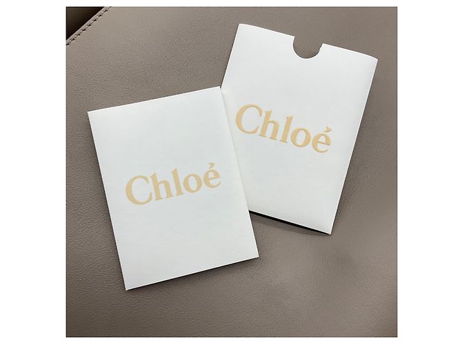 Chloé Borsa a tracolla Chloe Motty Gray Faye Medium con patta in pelle di vitello e camoscio Grigio - vista 9