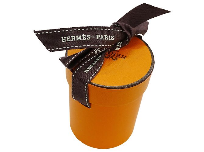 Hermès Hermes Twilly Schal - Les Folies du Ciel Mehrfarben - Ansicht 10
