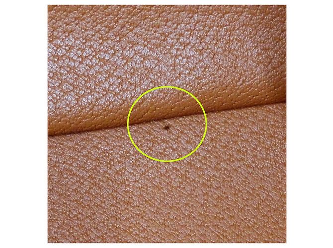 Céline Sac à main Celine en PVC marron - vue 14
