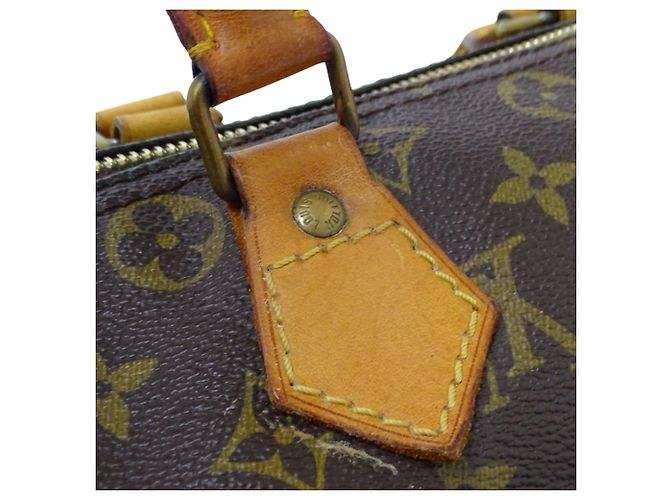 Speedy Borsa Louis Vuitton Monogram Monogramma - vista 10
