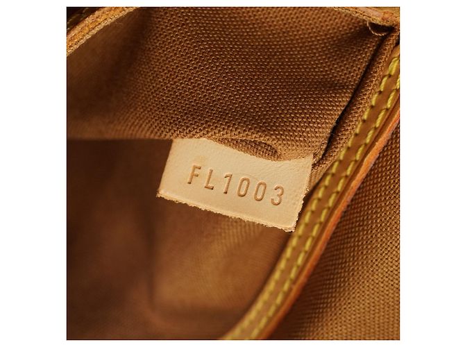 Louis Vuitton Monogram Alma PM Marrone - vista 16