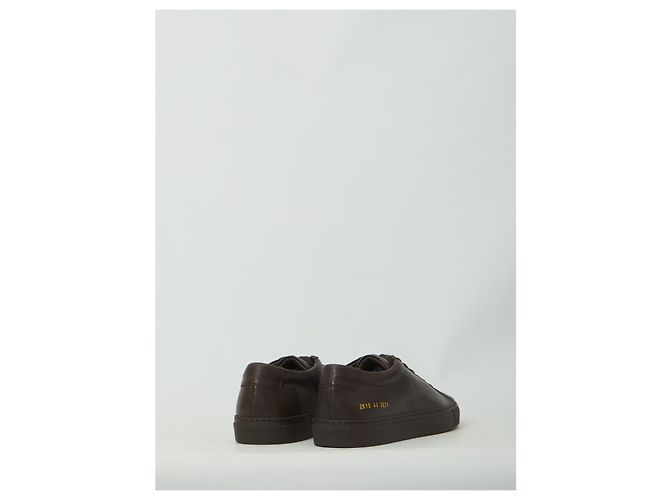 Common Projects Zapatillas Achilles Premium marrón oscuro Castaño - vista 3