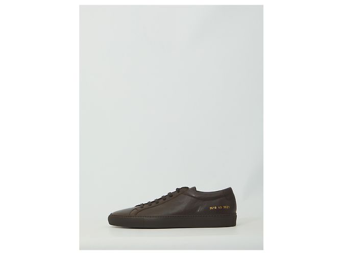 Common Projects Zapatillas Achilles Premium marrón oscuro Castaño - vista 4
