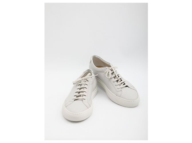 Common Projects Sneakers Achilles Premium Grigio - vista 5