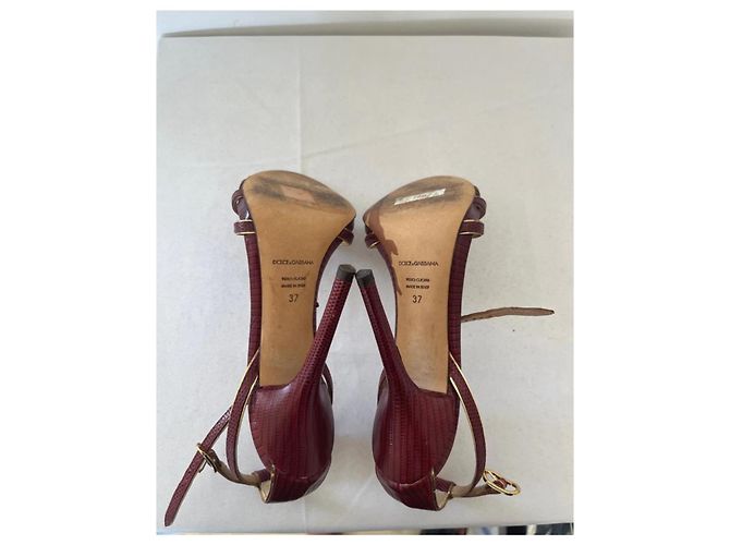 Dolce & Gabbana Sandali con Tacco in Pelle Bordeaux Bordò - vista 4