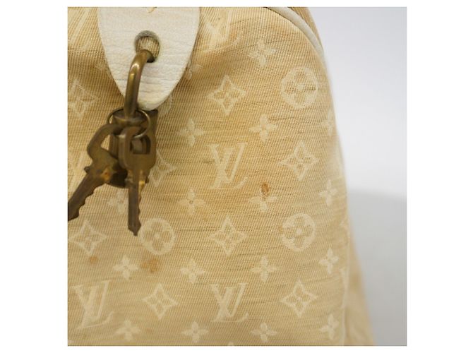 Borsa Louis Vuitton Monogram Mini Lin Speedy 30 in Dune - vista 10