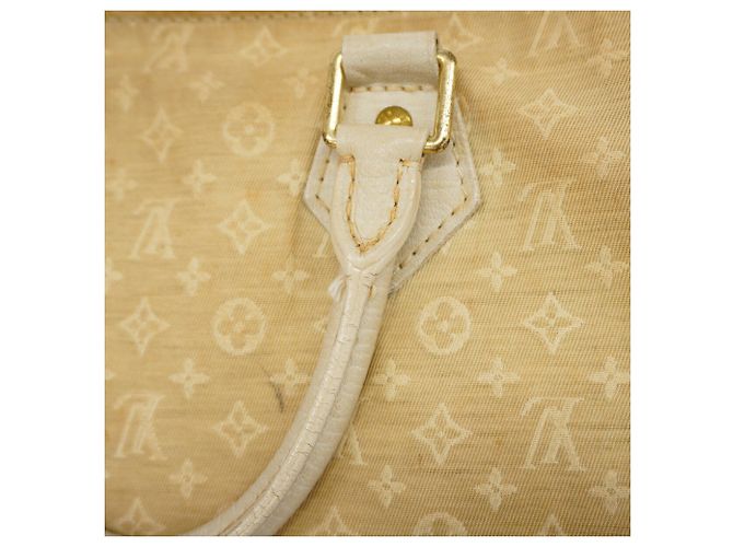 Borsa Louis Vuitton Monogram Mini Lin Speedy 30 in Dune - vista 11