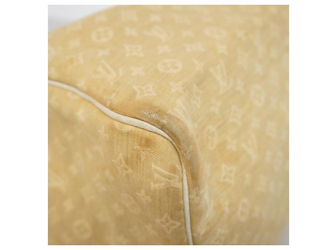 Borsa Louis Vuitton Monogram Mini Lin Speedy 30 in Dune - vista 6