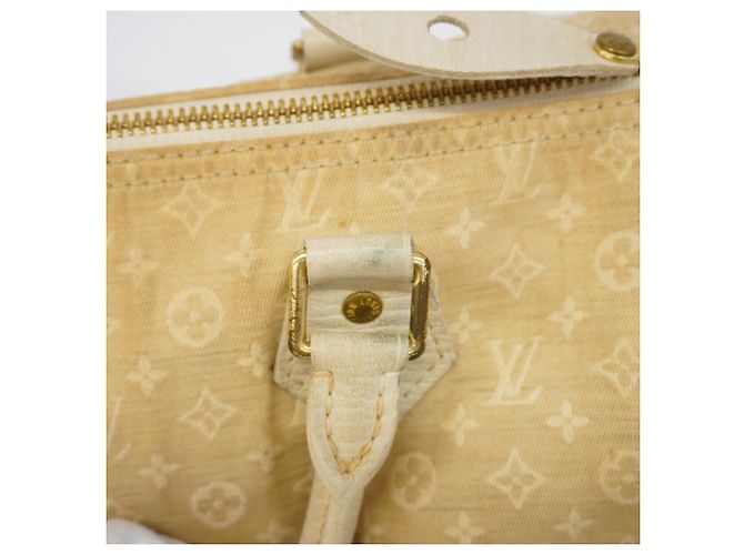 Borsa Louis Vuitton Monogram Mini Lin Speedy 30 in Dune - vista 8