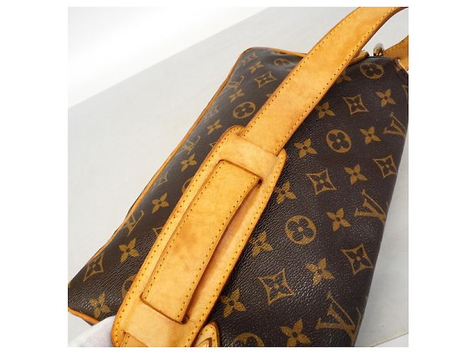 Bolso de hombro Louis Vuitton Monogram Hudson PM Castaño - vista 11