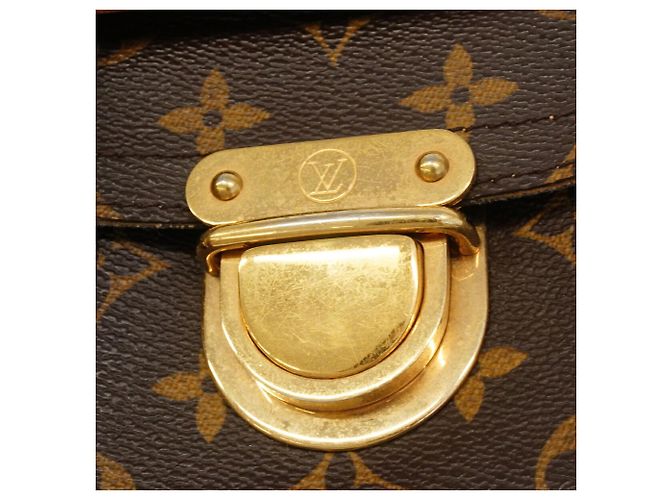 Bolso de hombro Louis Vuitton Monogram Hudson PM Castaño - vista 12