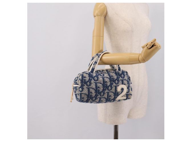 Borsa a mano Christian Dior Trotter Canvas pile Blue Auth 205261 - vista 24