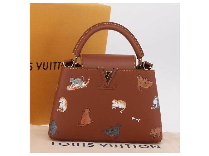 LOUIS VUITTON Catgram Capucine BB Handtasche 2-Wege Braun M25874 LV Auth 167633SM - Ansicht 12