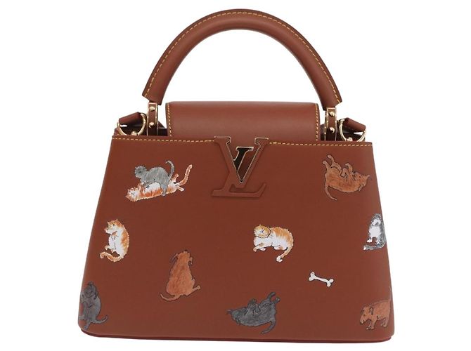 LOUIS VUITTON Catgram Capucine BB Handtasche 2-Wege Braun M25874 LV Auth 167633SM - Ansicht 13