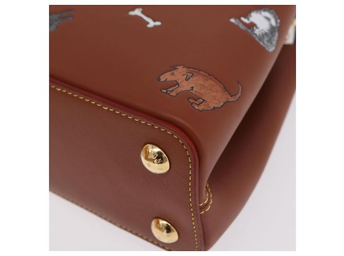 LOUIS VUITTON Catgram Capucine BB Handtasche 2-Wege Braun M25874 LV Auth 167633SM - Ansicht 18