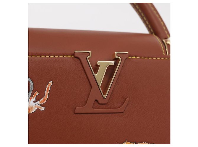 LOUIS VUITTON Catgram Capucine BB Handtasche 2-Wege Braun M25874 LV Auth 167633SM - Ansicht 22