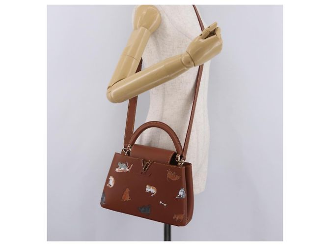 LOUIS VUITTON Catgram Capucine BB Handtasche 2-Wege Braun M25874 LV Auth 167633SM - Ansicht 33