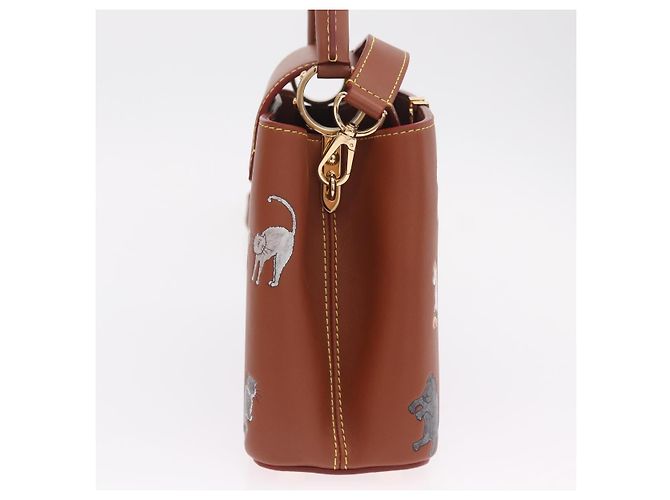 LOUIS VUITTON Catgram Capucine BB Handtasche 2-Wege Braun M25874 LV Auth 167633SM - Ansicht 4