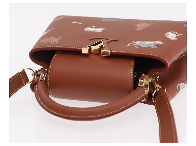 LOUIS VUITTON Catgram Capucine BB Handtasche 2-Wege Braun M25874 LV Auth 167633SM - Ansicht 6