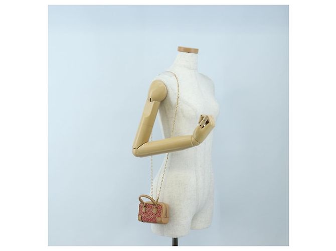 LOEWE Amazona Nano Shoulder Pouch Canvas 2way Beige Gold Auth 206378M Dorado - vista 24