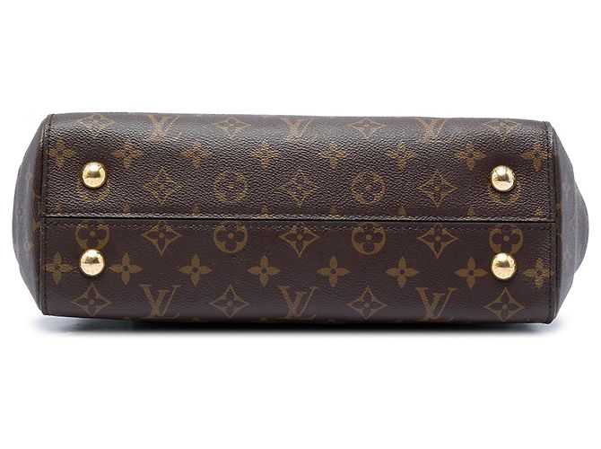 Louis Vuitton Brown Monogram Cluny MM Castaño - vista 3