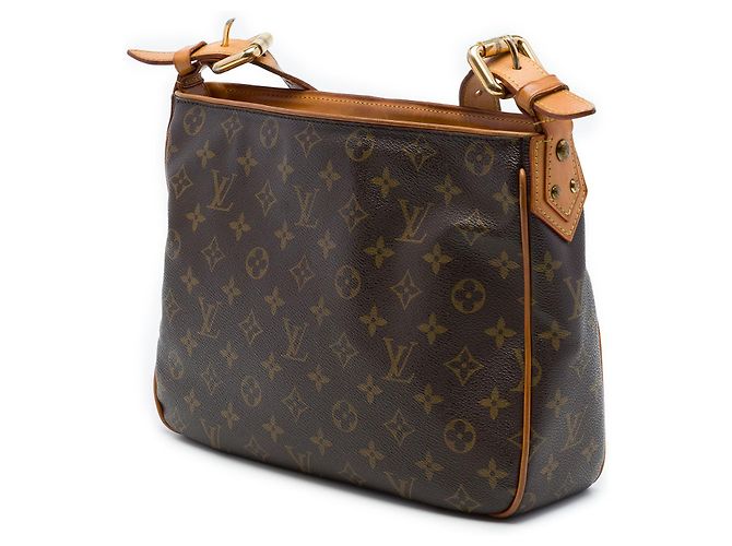 Louis Vuitton Brown Monogram Hudson GM Marrom - vista 2