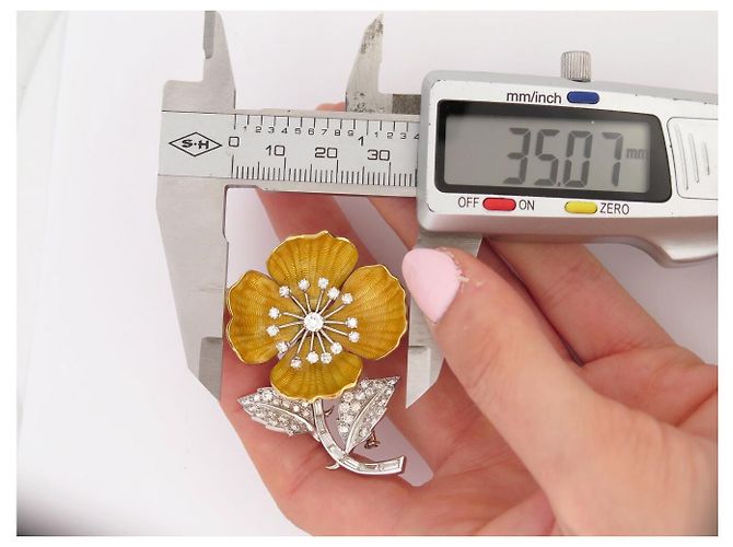 VINTAGE BROCHE BOUCHERON EGLANTINE 18K GOLD PLATIN 23.1GR DIAMANTEN 1.6CT Golden - Ansicht 12