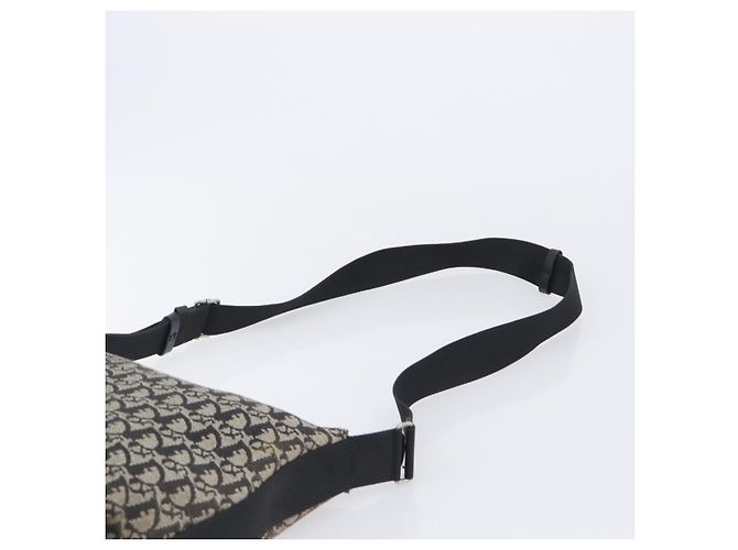 Sac à épaule Christian Dior Trotter Canvas Noir Argent Auth 207429 Argenté - vue 14