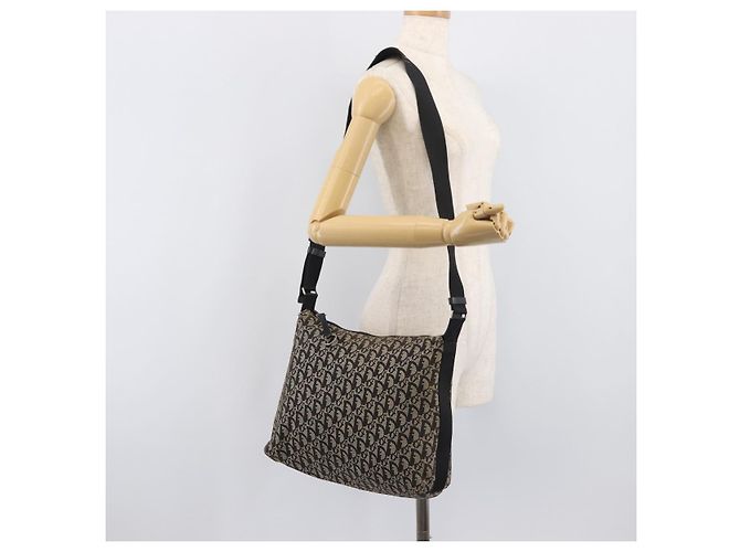 Sac à épaule Christian Dior Trotter Canvas Noir Argent Auth 207429 Argenté - vue 26