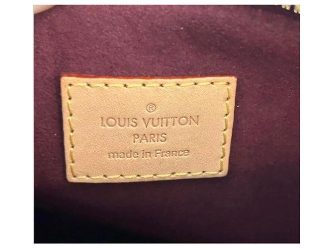 Louis Vuitton Monogram Canvas Speedy Bandouliere 25 Marrone Monogramma - vista 3
